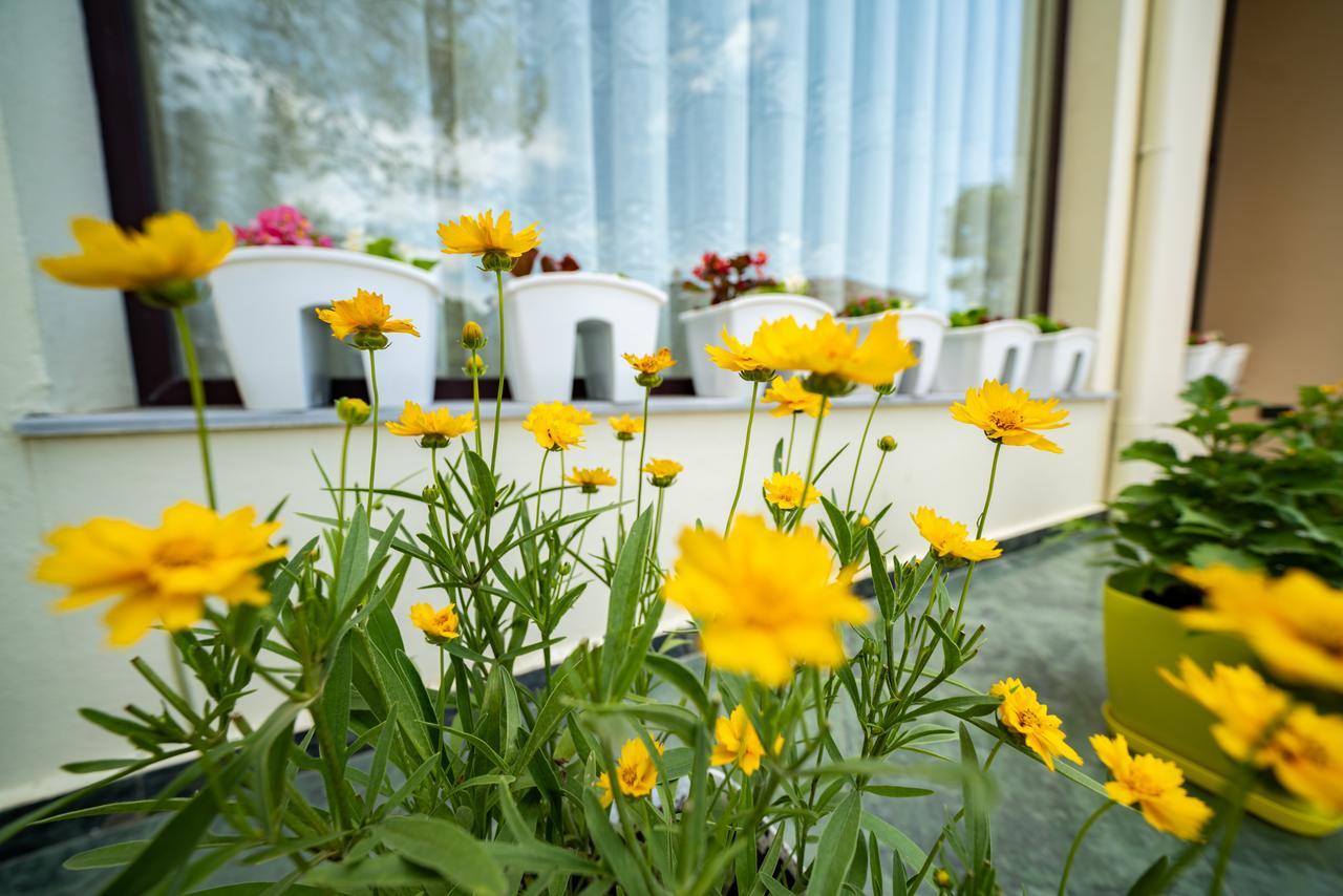 גולם Hotel Villa Aljor מראה חיצוני תמונה